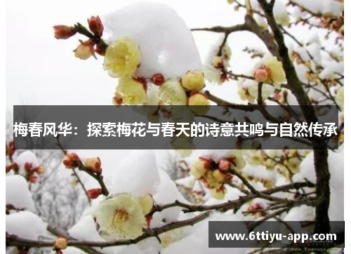 梅春风华：探索梅花与春天的诗意共鸣与自然传承